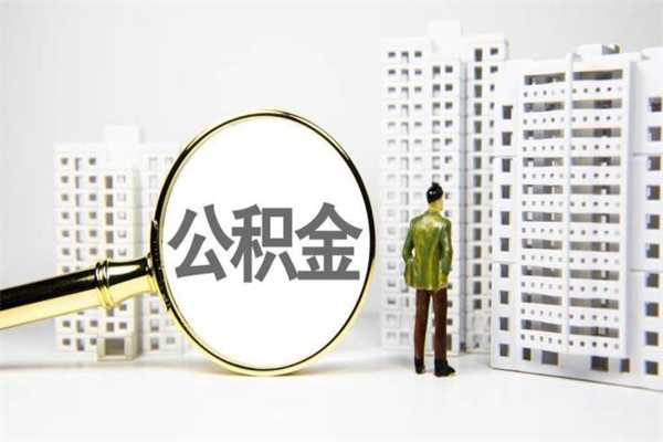 哈尔滨2024公积金提取新规（住房公积金提取2021）